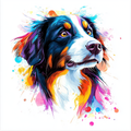 The Bernese Mountain Dog's Colorful Energy