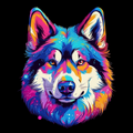 Explosion de couleurs autour du loup