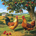 Orchard Hens