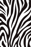 Graphic Nature: Zebra Pattern