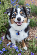 Le sourire du printemps