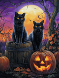 The Black Cats Pact