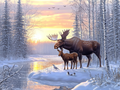 Under the Winter Sun