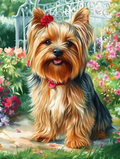 Little princess of the blooming garden