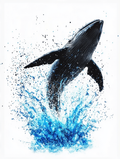 Liberté aquatique