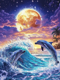 Nocturnal Dolphin Dance