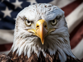 Strength and national pride embodied in a gaze
