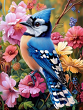 The splendor of a blue jay among the flowers