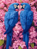 L'Amour en Bleu au Pays des Cerisiers
