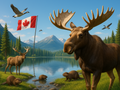 Curious moose in foreground