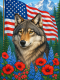 Wild Spirit of America