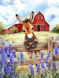 Curious little donkey in the middle of the lavender fields