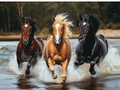 River Riders