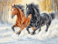 A majestic duo in a winter setting