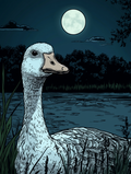Night silence by the water