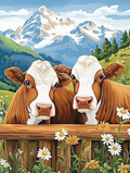 Entre Marguerites et Montagnes