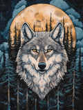 Loup de Minuit