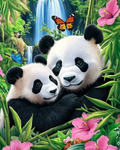Panda Paradise