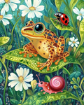 The snail, the ladybug, and the frog